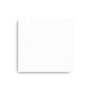 Canvas (in)