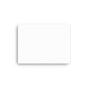 Canvas (in)