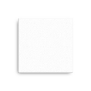 Canvas (in)