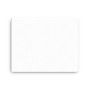 Canvas (in)