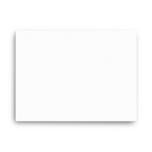 Canvas (in)