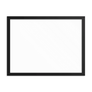 Enhanced Matte Paper Framed Poster (in)