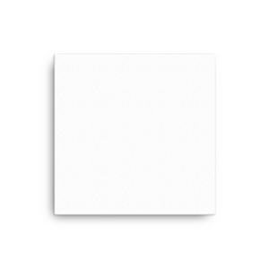 Canvas (in)