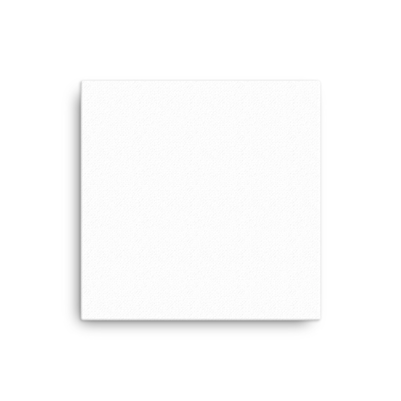 Canvas (in)