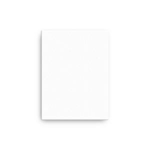 Canvas (in)