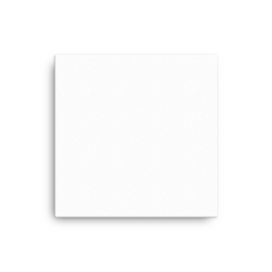 Canvas (in)