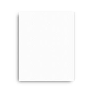 Canvas (in)