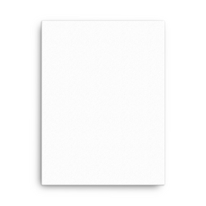 Canvas (in)