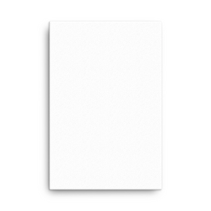 Canvas (in)